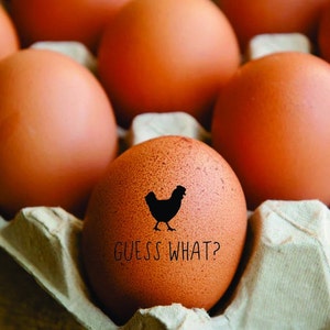 Guess What? Fun Chicken Egg Stamp, Guess What Chicken Butt, Farm Fresh Chicken Coop, Chicken Farmer, Egg Label