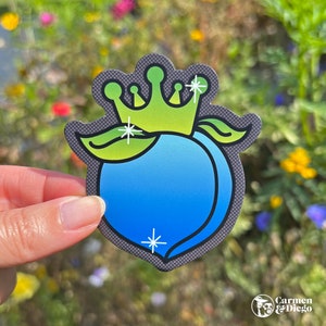 404 Aimant pêche royale