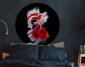 Roter siamesischer Betta Fisch auf schwarzem Hintergrund,dunkles Meer,Digitaldruck,Poster,printable,Kreis Digitaldruck,modernes Haus Digitaldruck,roter Fisch