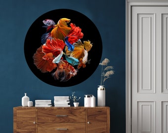 Multi Farbe Siamesische Betta Fisch auf schwarzem Hintergrund,dunkles Meer,Digitaldruck,Poster, printable,Kreis Digitaldruck,modernes Haus Digitaldruck