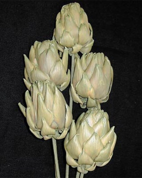 Artichokes Dried Artichokes Decoration Artichokes Chico Etsy