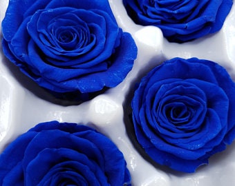 Royal blue rose - Etsy México