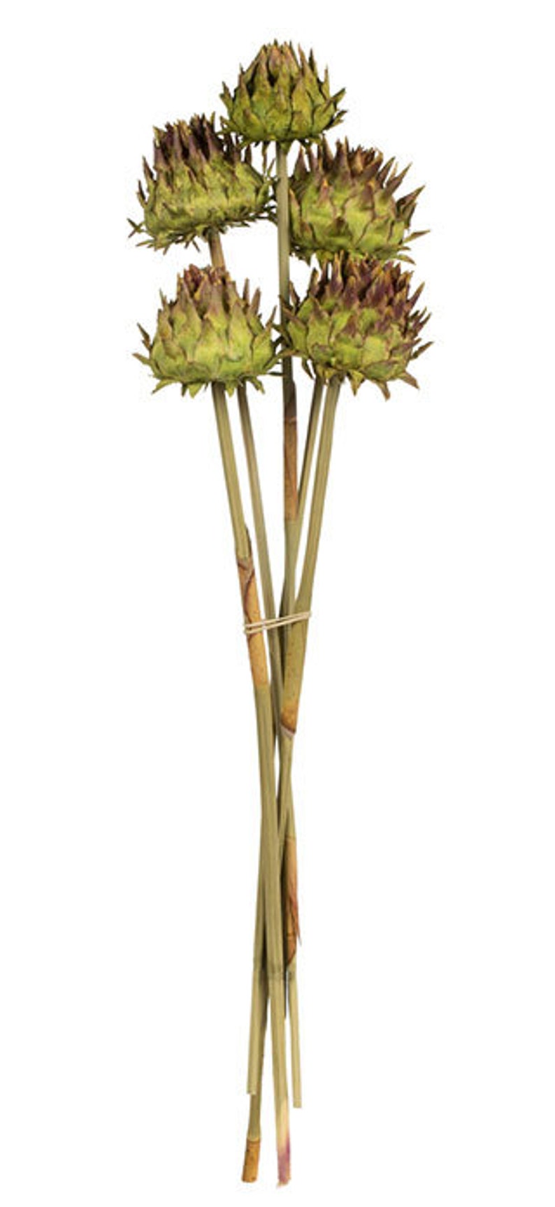 Artichokes Dried Artichokes Decoration Artichokes Artichoke Etsy
