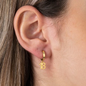 May include: Gold hoop earrings with a dangling charm that says "18" hanging from the hoop.