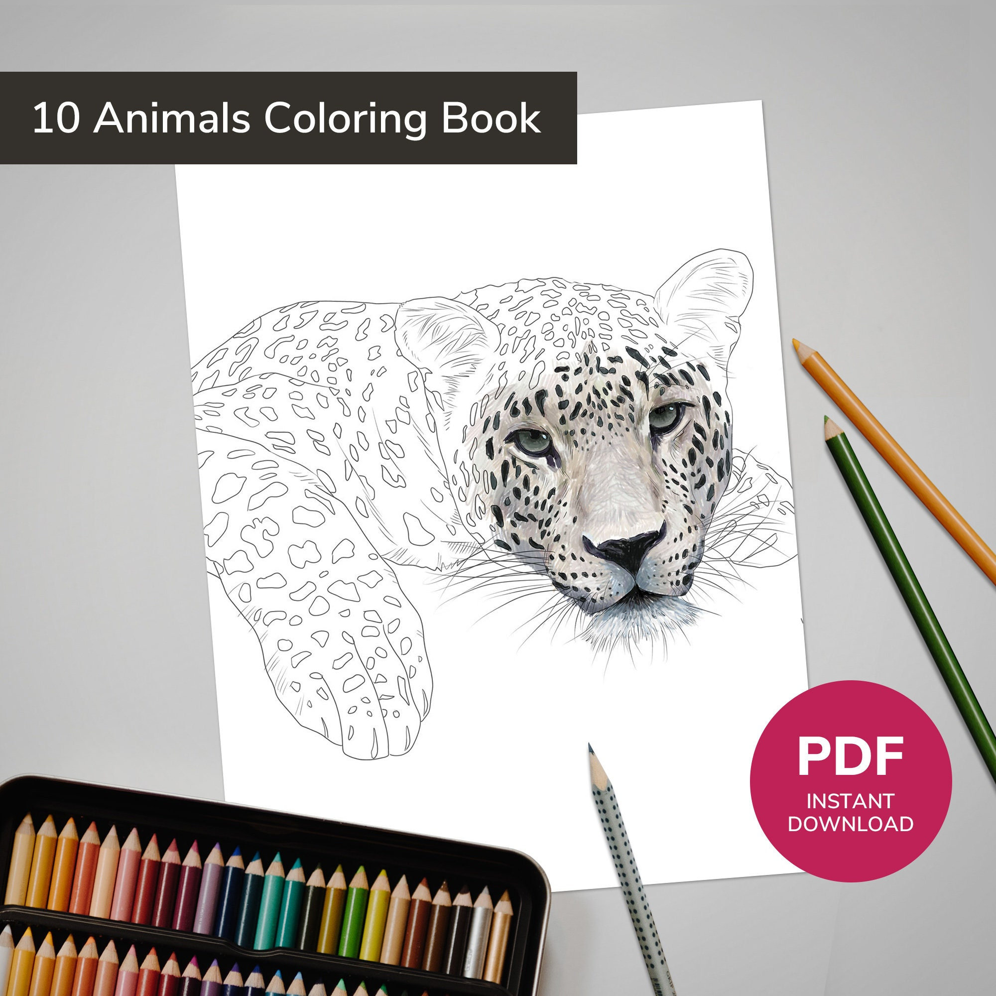 61 Collection Coloring Pages Wild Animals  Latest HD