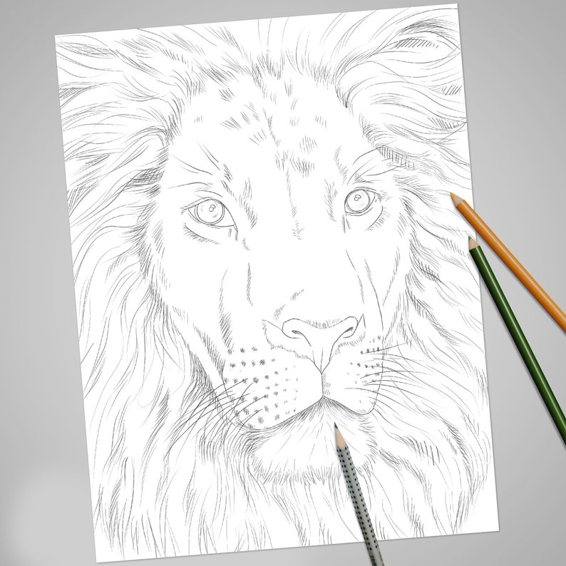 10 Realistic Animal Coloring Pages for Unleashing Your Inner Artist