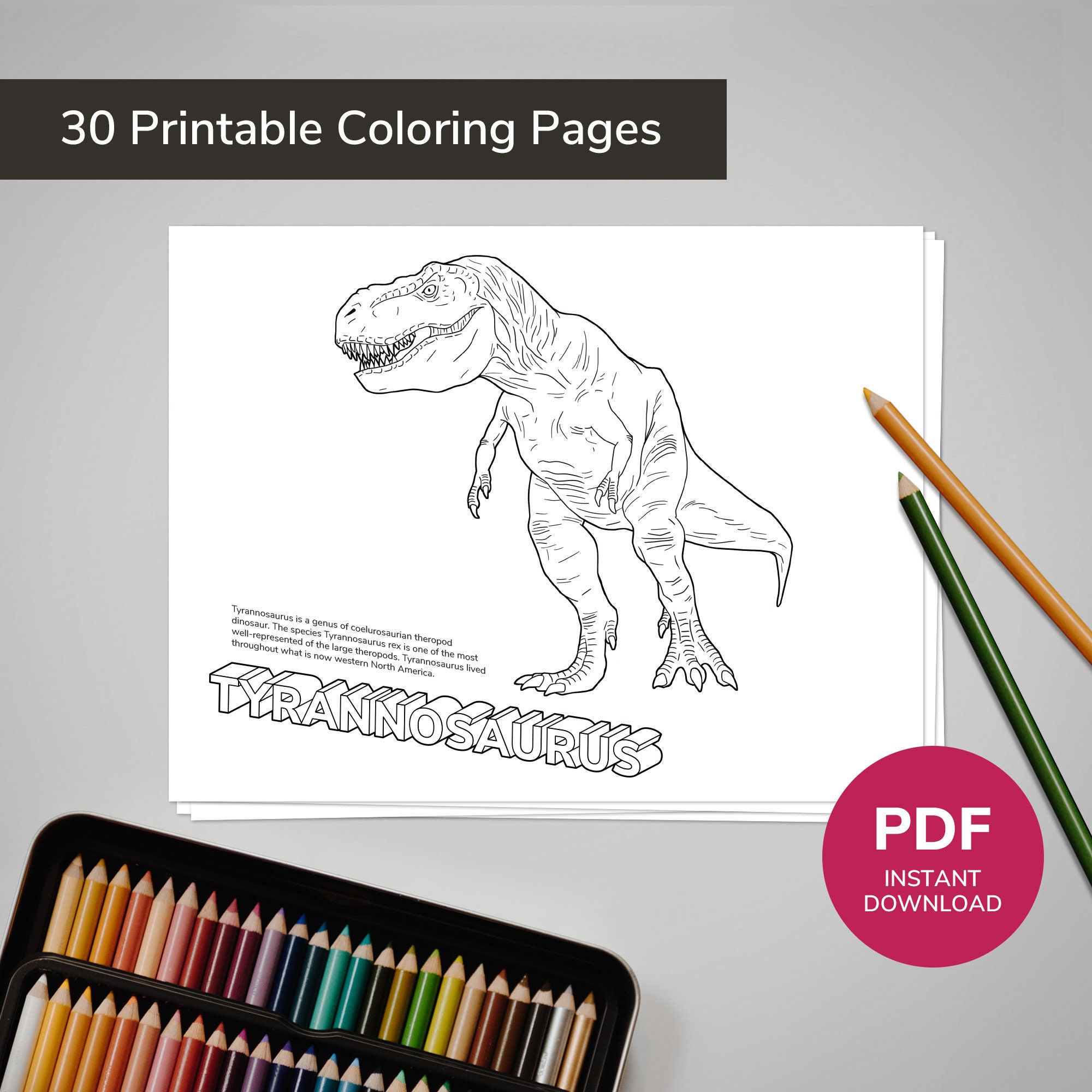 30 Dinosaurs Coloring Book, Printable Art for Kid and Teens - INSTANT DOWNLOAD