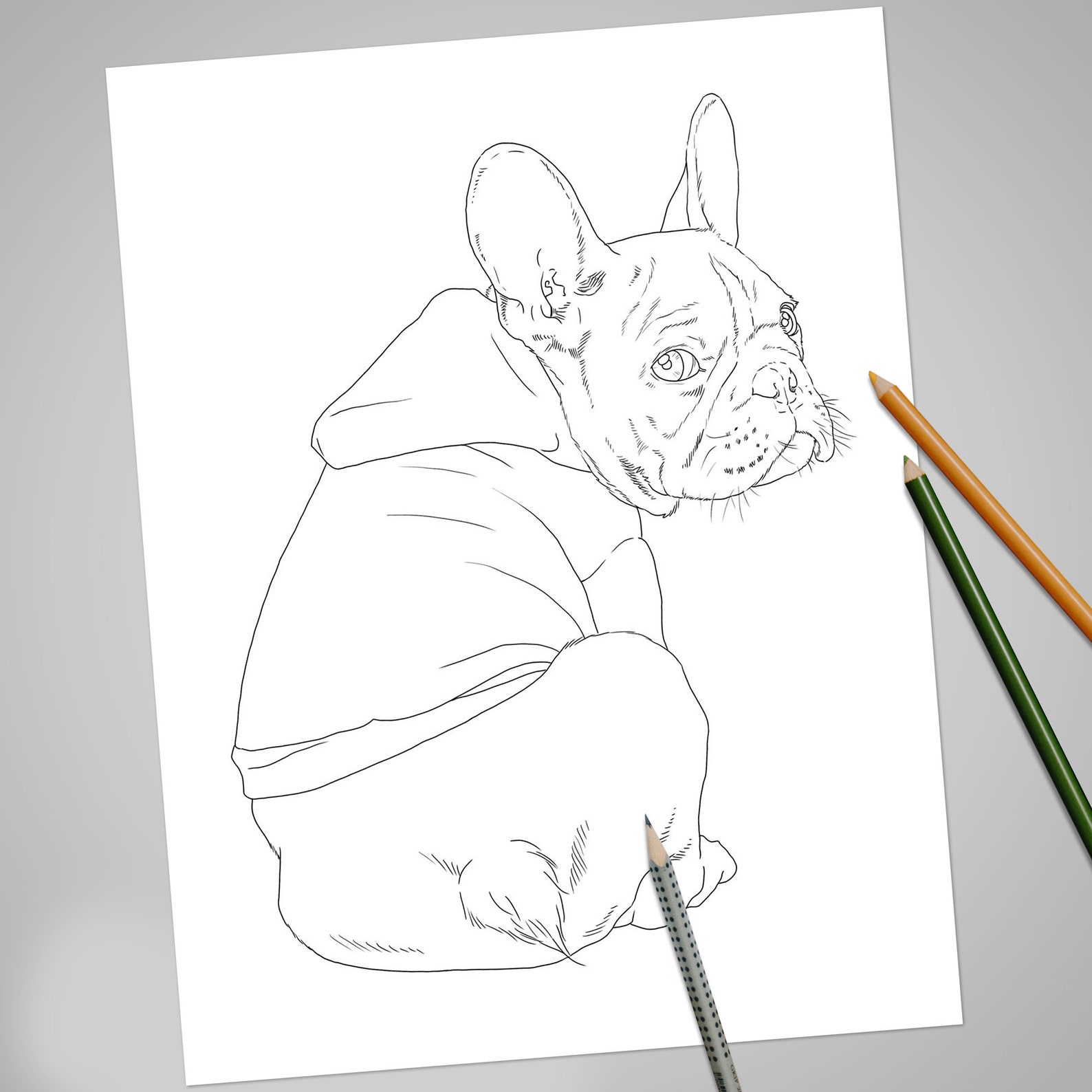 10 Realistic Dog Coloring Book, Puppy Coloring Pages, Dogs Coloring ...