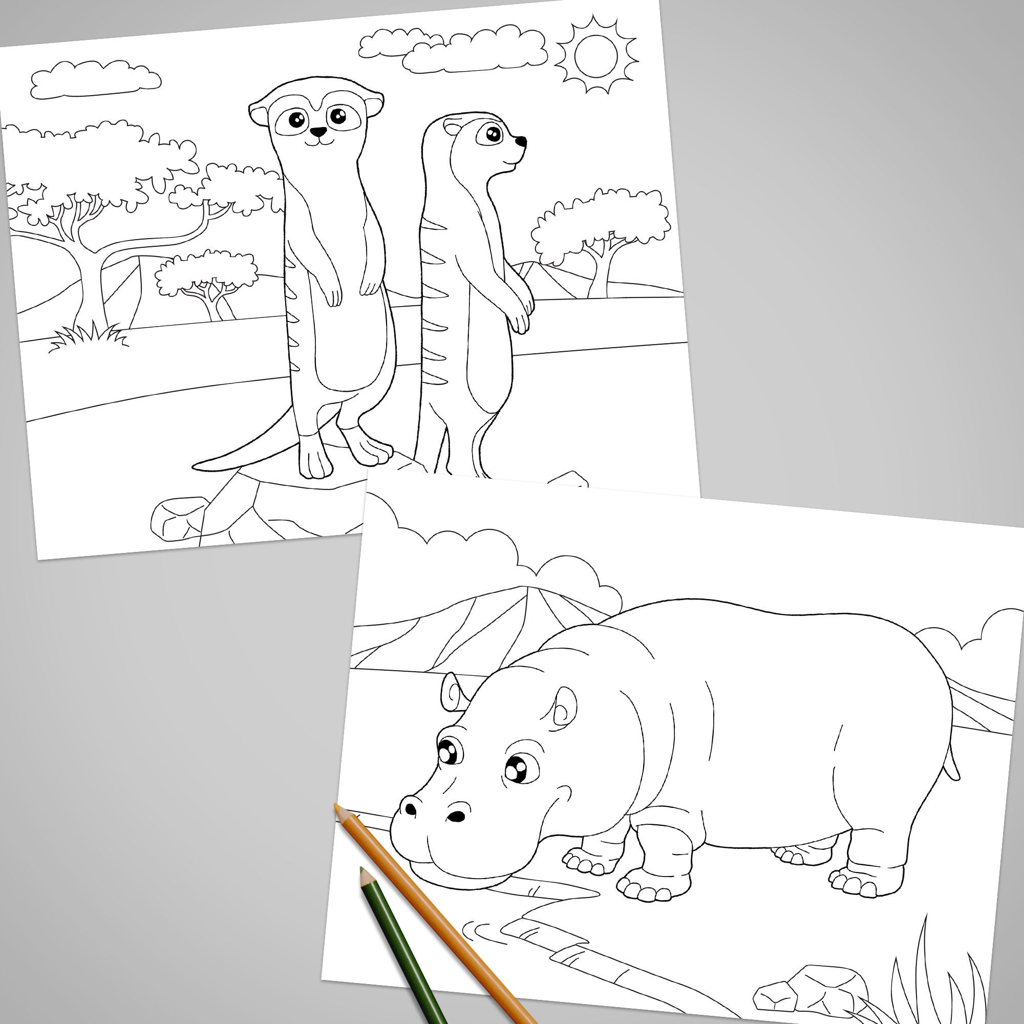 15 Animals Coloring Book, African Animal Coloring Pages, Printable Art