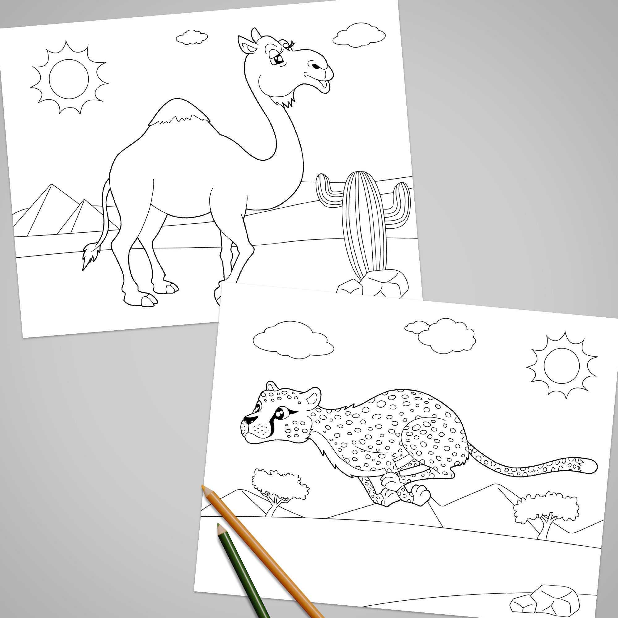 15 Animals Coloring Book, African Animal Coloring Pages, Printable Art