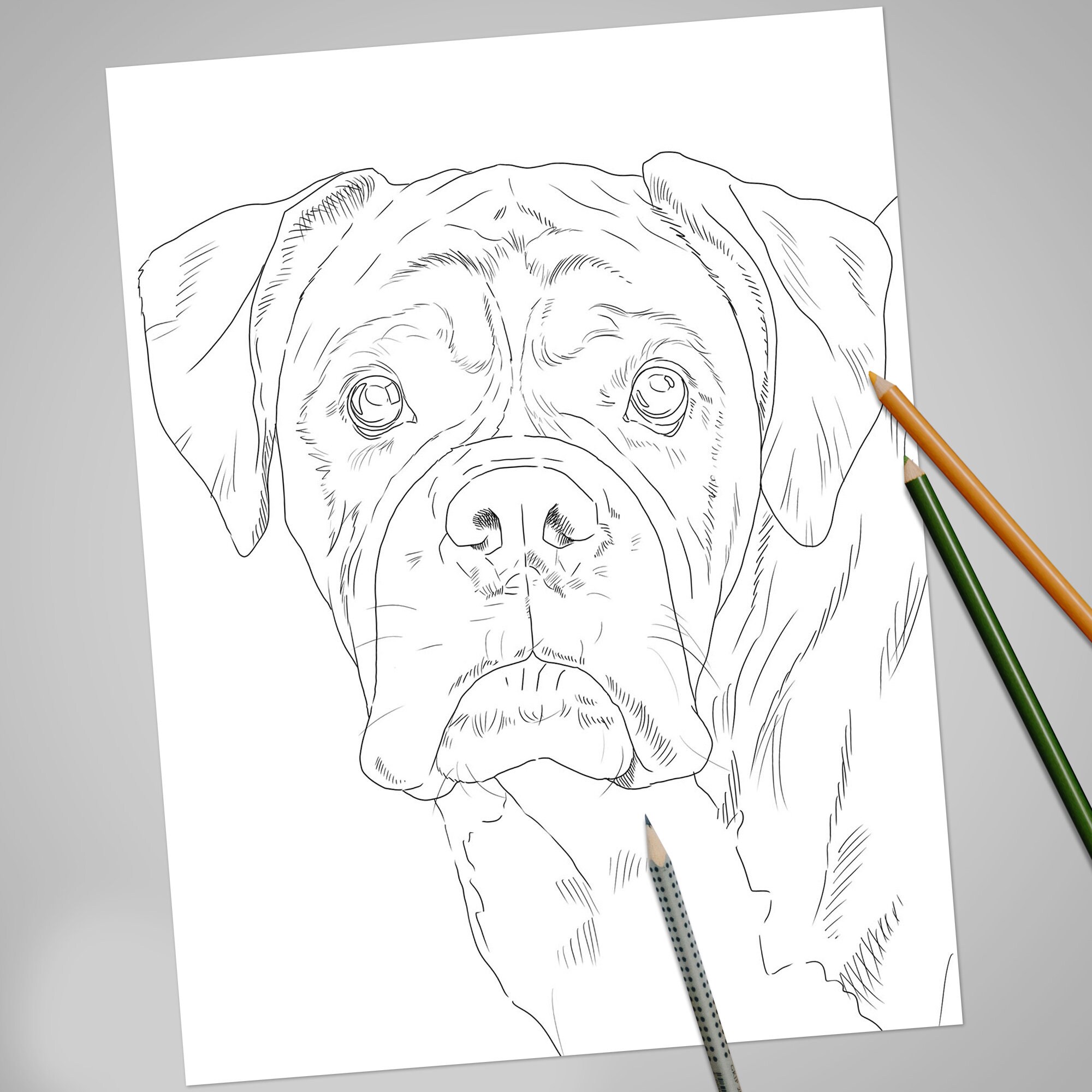 Libro para colorear de perros realistas, ilustraciones de cachorros  (DESCARGA INMEDIATA) - Etsy México, image size:2000x2000