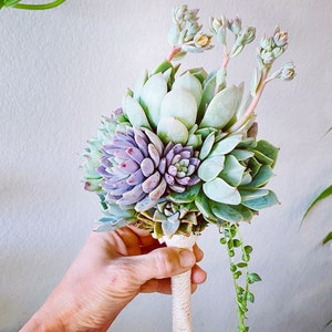 Real Succulent bouquet and preserved flowers floral arrangement, custom orders, wedding, prom, events.