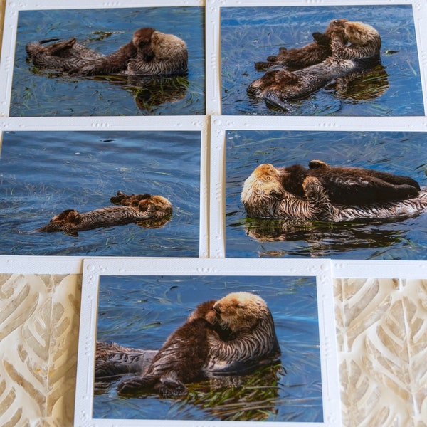 Set of 5 Sea Otter Mother and Baby 4x6 Photos Mounted on 5x7 Nature Blank Greeting Cards with Envelopes, Assorted Blank Note Photo Cards