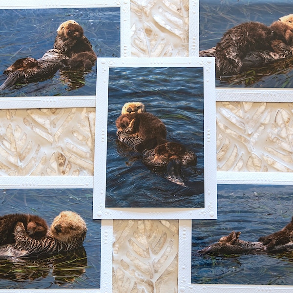 Coastal Photography, Set of 5 Sea Otter Mother and Baby, 4x6 Photos Mounted on 5x7 Blank Greeting Cards, Photo cards, Note Cards, Frameable