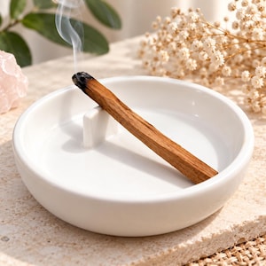 Può includere: Un porta incenso circolare in ceramica bianca con un divisorio centrale verticale. Un bastoncino di palo santo marrone poggia contro il divisorio, con la punta che brucia emettendo una sottile scia di fumo bianco sopra il piattino.