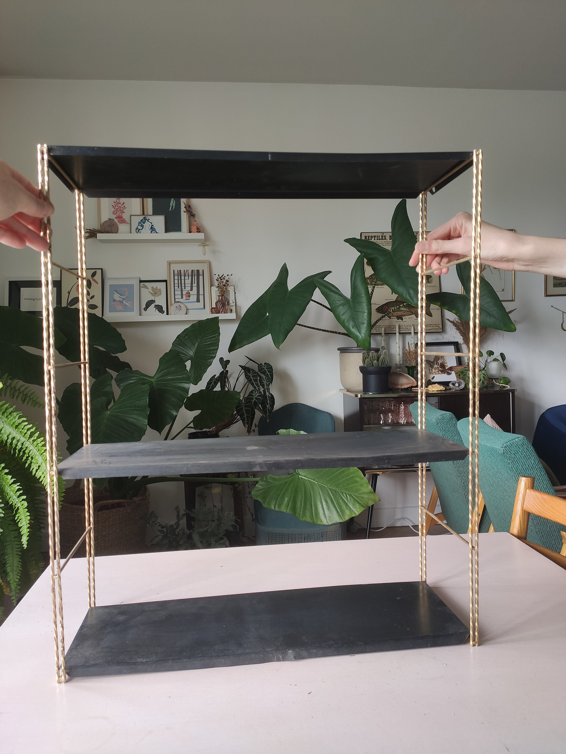Tomado shelves - Etsy 日本