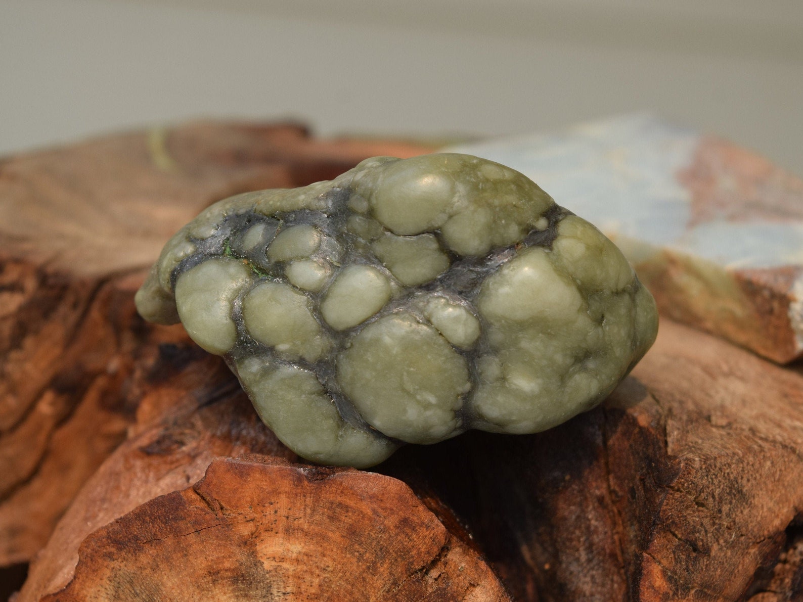 Eel River Botryoidal Jade a | Etsy