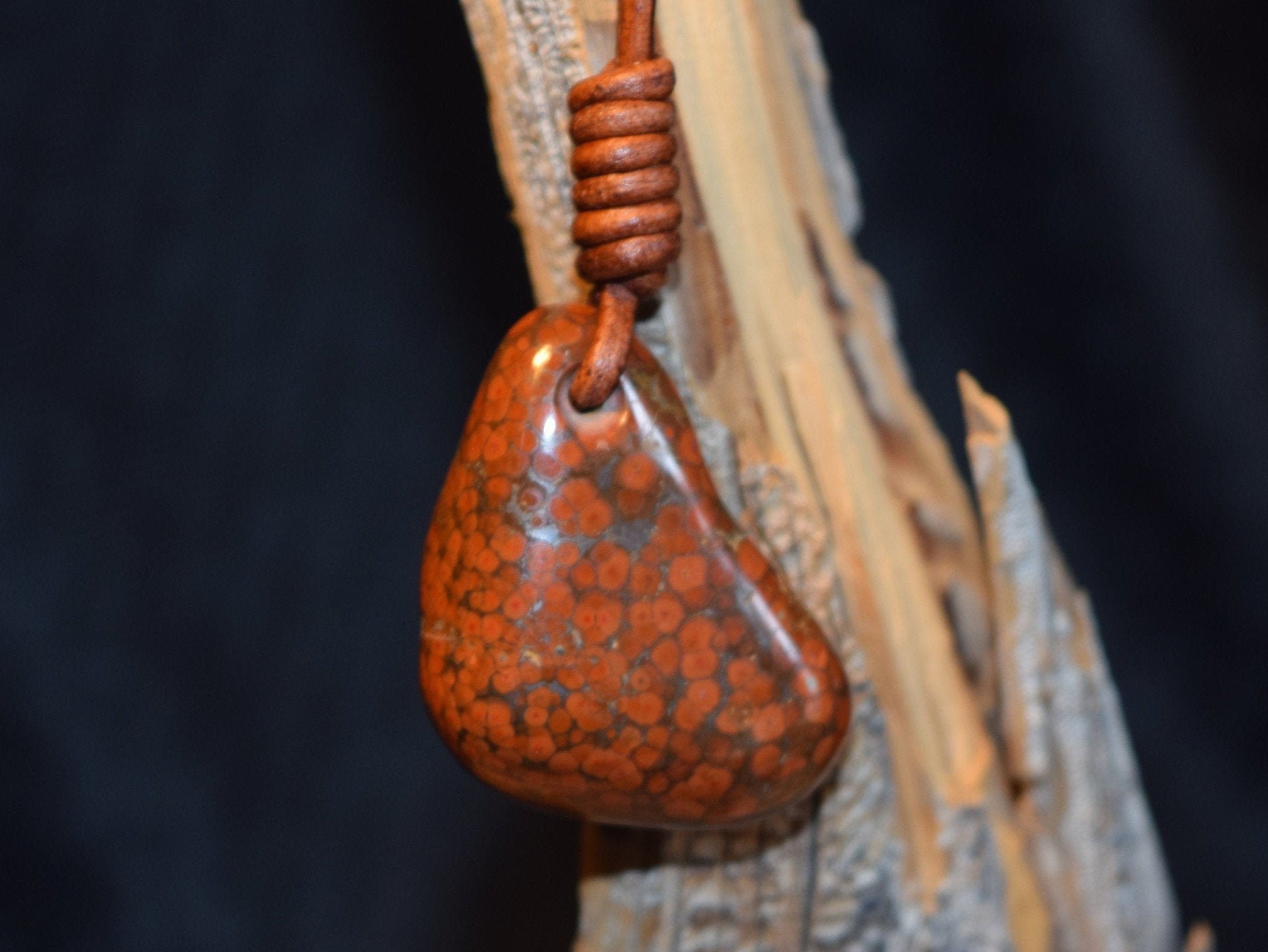 Olympic Peninsula Poppy Jasper Necklace Orbicular Poppy Jasper