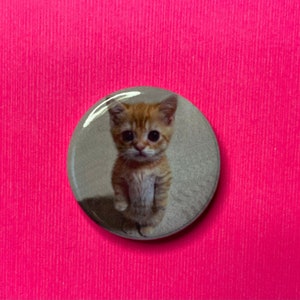 El Gato meme One inch Button Badge