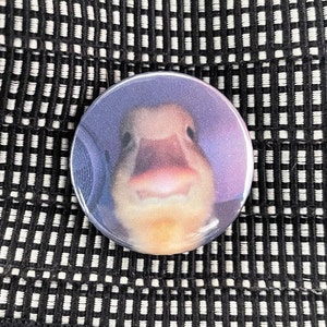 Duck Meme 1 inch Button Badge