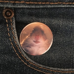Hamster meme 1 inch Button Badge