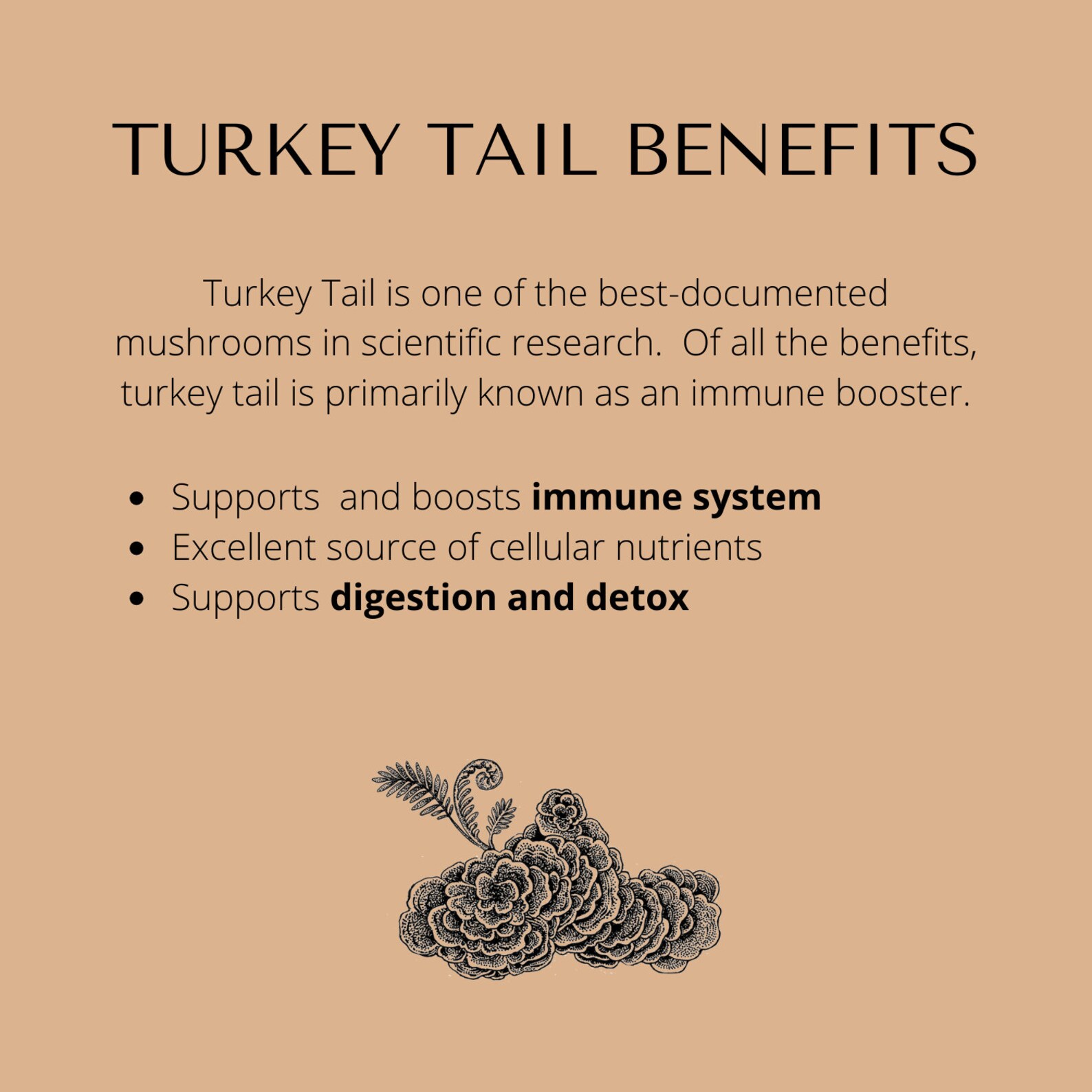 Reishi & Turkey Tail Mushroom Tincture Double Extracted Etsy UK