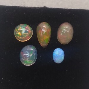 May include: Five opal gemstones of various shapes and sizes. The opals are iridescent with shades of blue, green, and orange.
