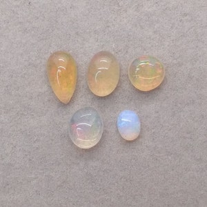 May include: Five opal gemstones in various shapes and sizes. The stones are translucent and have a rainbow iridescent sheen.