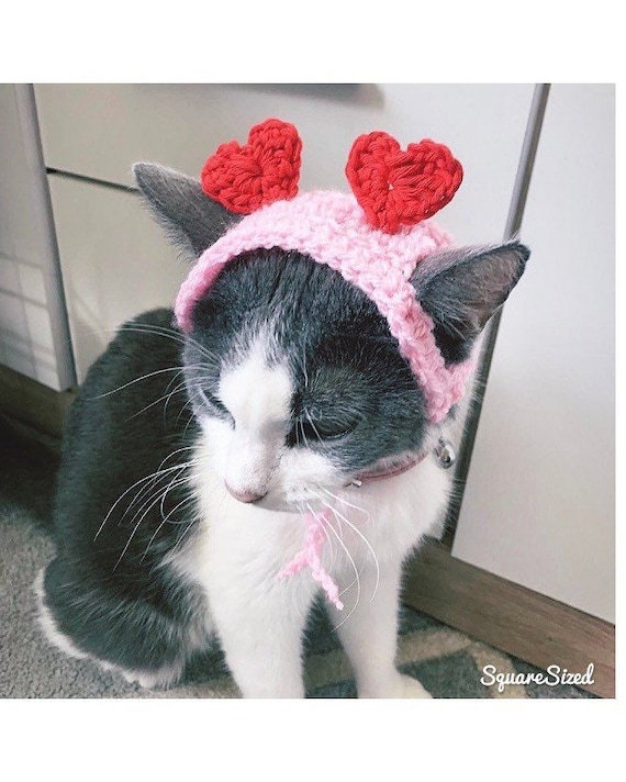 Kitty accessories top