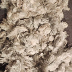 Washed Multi-Colored Angora Rabbit Wool