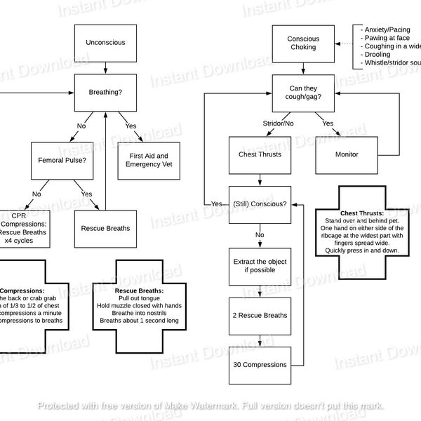 Dog First Aid and CPR Flowchart (Printable Digital Download)