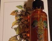 Lemon Balm Glycerite