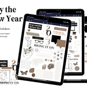 Slay the New Year / Adesivi pretagliati Goodnotes / Adesivi per pianificatore digitale / PNG individuali