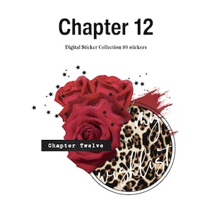 Capitolo 12 Adesivi per diario preritagliati: PNG Goodnotes e Noteful Digital Stickers