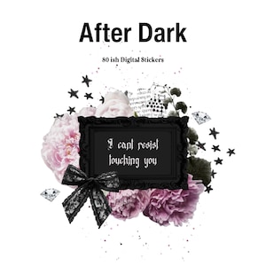 Puede incluir: Conjunto de pegatinas digitales titulado "After Dark" con un marco negro que contiene el texto "I can't resist touching you". La imagen presenta flores rosas y moradas, un lazo de encaje negro, estrellas y diamantes.