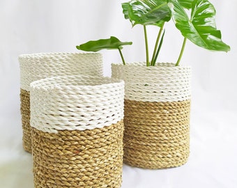 Natural Seagrass Plant Cover, Set of 3 Seagrass Storage Basket, Boho Woven Handmade Fruit Basket, Woven Planter Basket, Belly Basket Planter