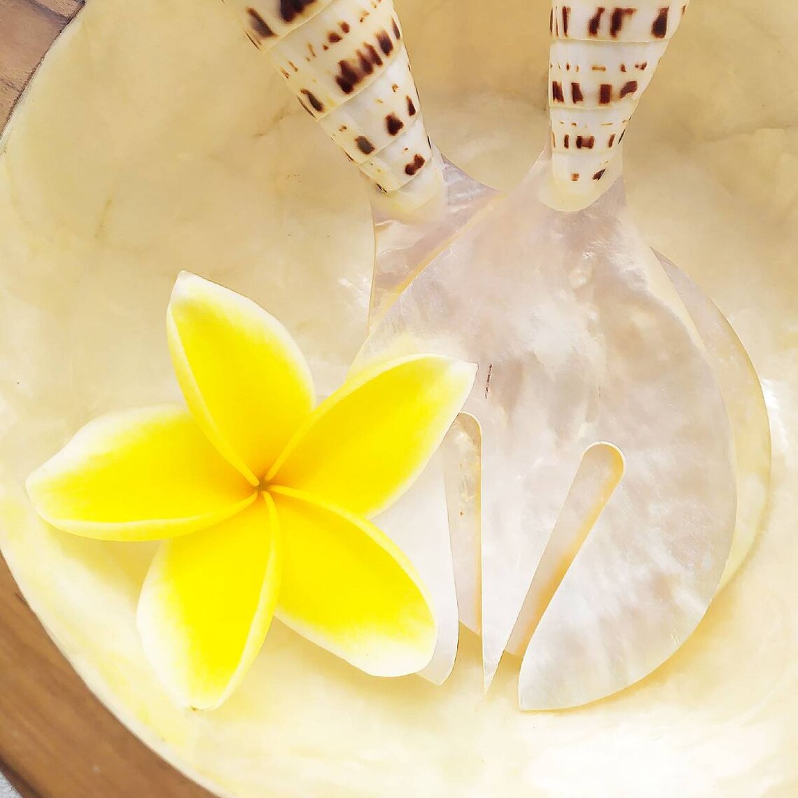 Vintage Sea Shell Spoon Set Shell Salad Server Set Shell - Etsy