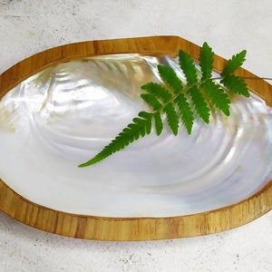 Classic Sea Shell Wooden Platter, Natural Sea Shell Dish, White Capiz Shell Tray, Mother of Pearl Trinket Dish, White Sea Shell Tray