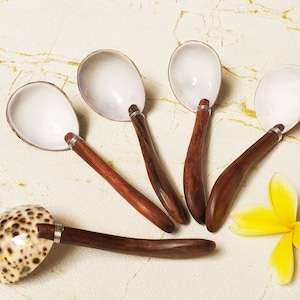 Könnte beinhalten: Fünf Holzlöffel mit weißen, muschelförmigen Schalen. Die Löffel haben eine natürliche Holzoptik und sind fächerförmig auf einer weißen Oberfläche angeordnet.