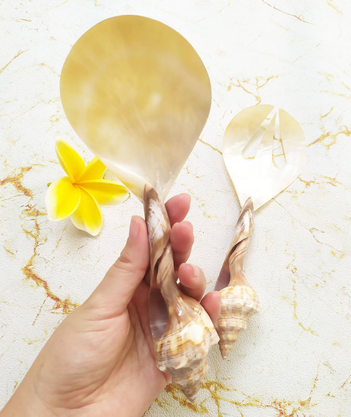 Serving Shell Sea Shells Serving Set, Shells Salad Spoon, Mother of Pearl Serving Set ...