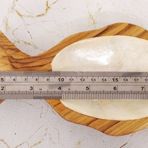 May include: A wooden pineapple-shaped dish with a white, pearlescent interior. The dish measures approximately 8 inches in length.