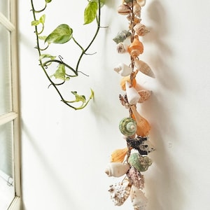 Puede incluir: Una guirnalda vertical de conchas marinas de diversas formas, tamaños y colores, incluyendo blanco, naranja, verde y marrón. Las conchas están ensartadas en una cuerda de color natural. Una planta verde con hojas abigarradas es visible a la izquierda.