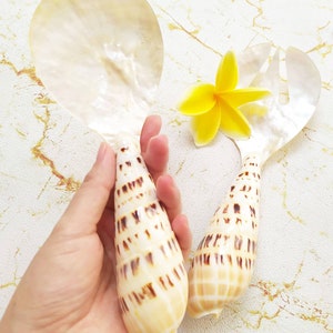 Vintage Sea Shell Spoon Set, Shell Salad Server Set, Shell Serving Spoon Set, Mother of Pearl Spoon & Fork Set, Hostess Gift Ideas