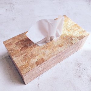Gold Rectangular Tissue Box Cover, Sea Shell Tissue Holder, Luxurious Capiz Tissue Box Cover, Hotel Tissue Box (TS05)