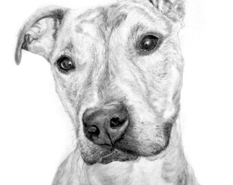 Benutzerdefinierte Pet Portrait, handgezeichnetportrait, Pet Portrait, Person Portrait, Bleistift Pet Portrait, persönliche, Geschenk