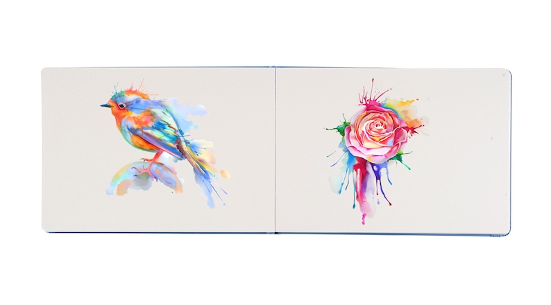 May include: A watercolor painting of a bluebird with orange accents perched on a rock with colorful water splatter. The second page of the book features a watercolor painting of a pink rose with colorful water splatter.