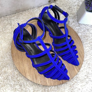May include: A pair of blue suede sandals with a caged design. The sandals have a pointed toe and a low heel.