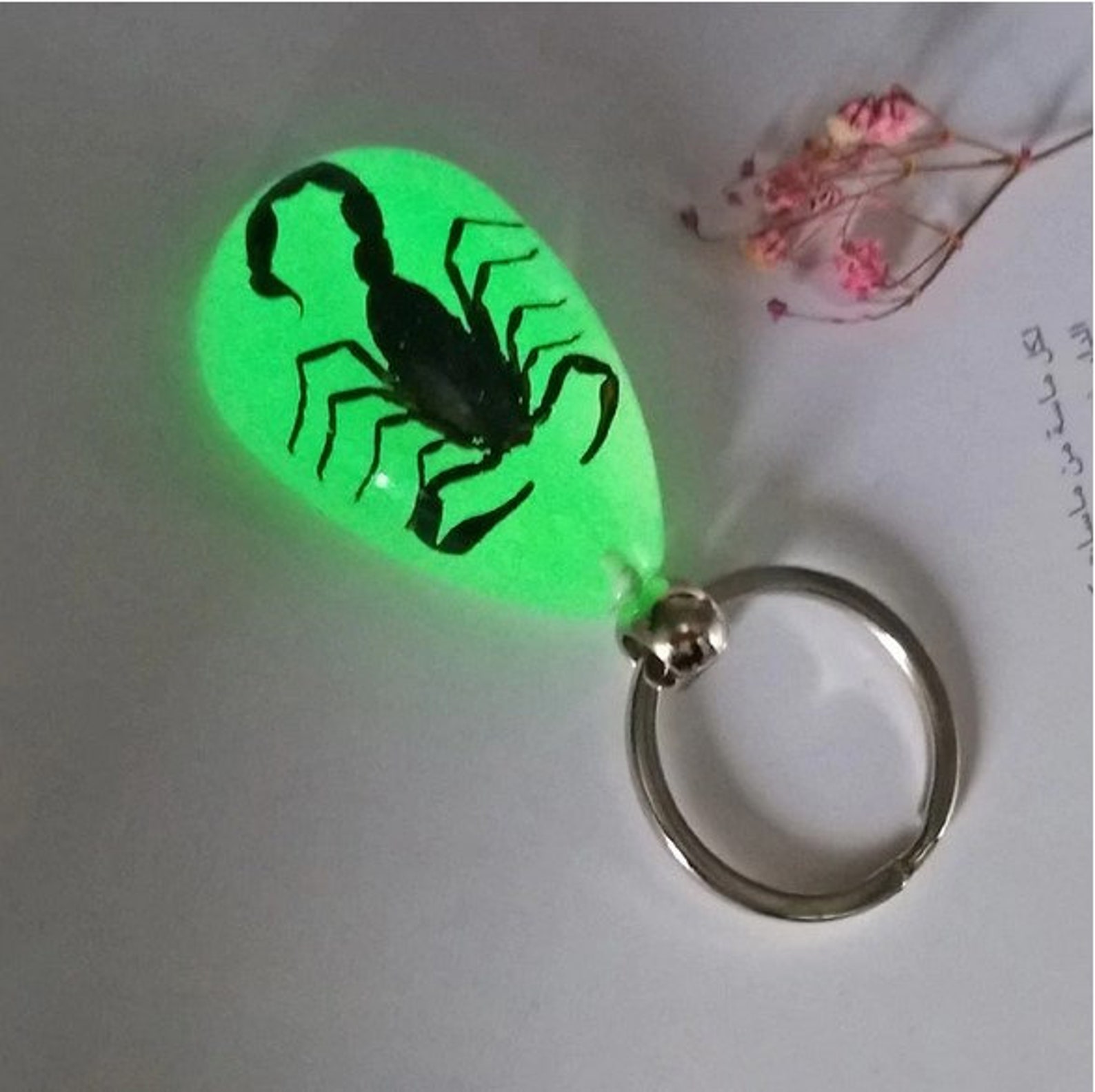 Luminous Scorpion Keychain Real Scorpion Key Chain Real Etsy