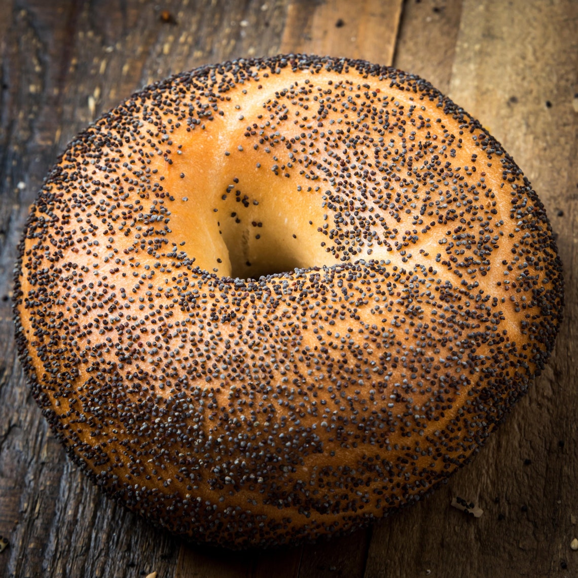 Poppy Seeds for Baking Filling and Dressing Kosher Etsy
