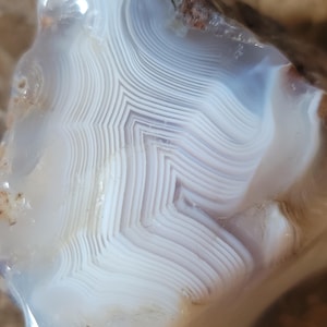 May include: A polished agate specimen featuring intricate, sharp white and translucent gray banding. The stone displays a distinct chevron-like pattern with numerous fine, parallel layers that create a complex, geometric, and rhythmic visual texture.